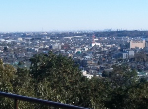 天覧山山頂から眺めた飯能市街(上の方に東京スカイツリー、池袋サンシャイン60が見えます)